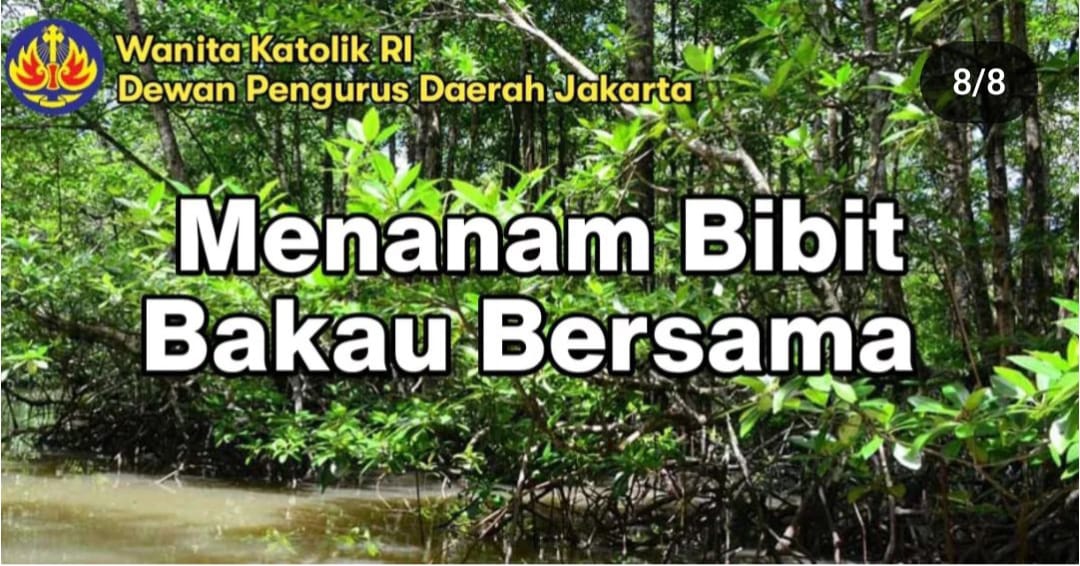 “Kegiatan Penanaman Bibit Bakau Bersama” di kawasan Ekowisata Mangrove PIK, Jakarta bersama Wanita Katolik RI DPD Jakarta
